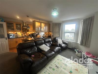 Picture 5